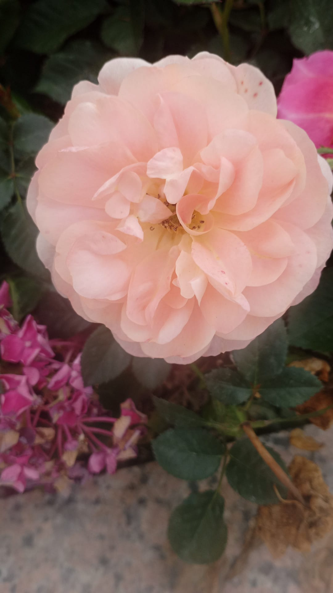 The trick to getting more done is to have the freedom to roam around